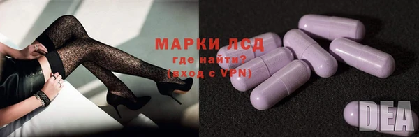 прущие крисы Надым