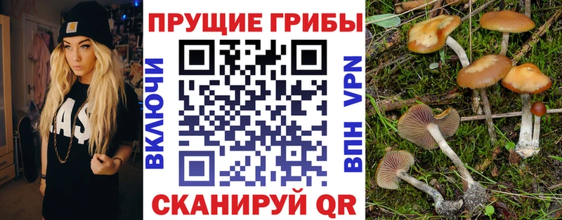Галлюциногенные грибы GOLDEN TEACHER  Сорск 